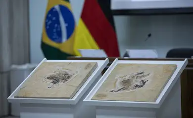 Brasil quer recuperar dinossauros e patrimônios que estão em 14 países