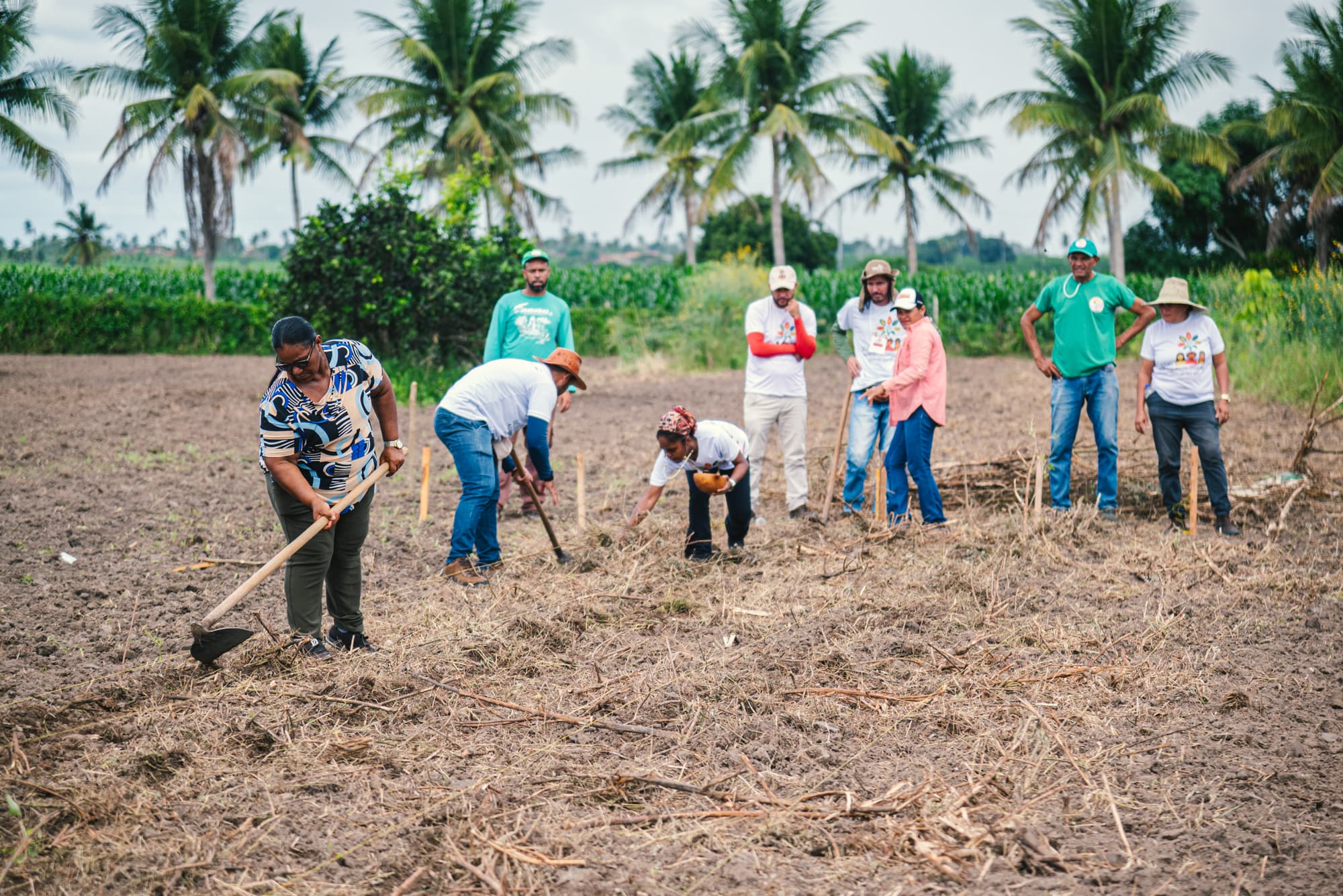 Projeto trinacional Raízes Agroecológicas avança no Brasil com corredores agroecológicos e metodologias participativas para fortalecer a conservação de sementes crioulas